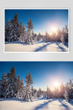 树木阳光冬季雪景自然风光图片