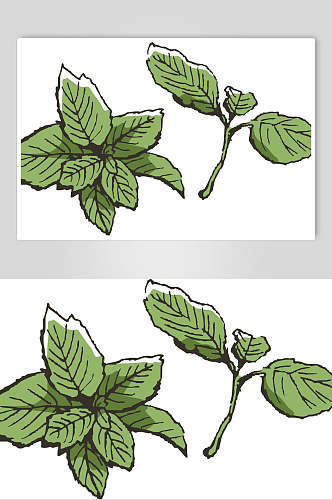 叶子绿色手绘清新线稿植物矢量素材