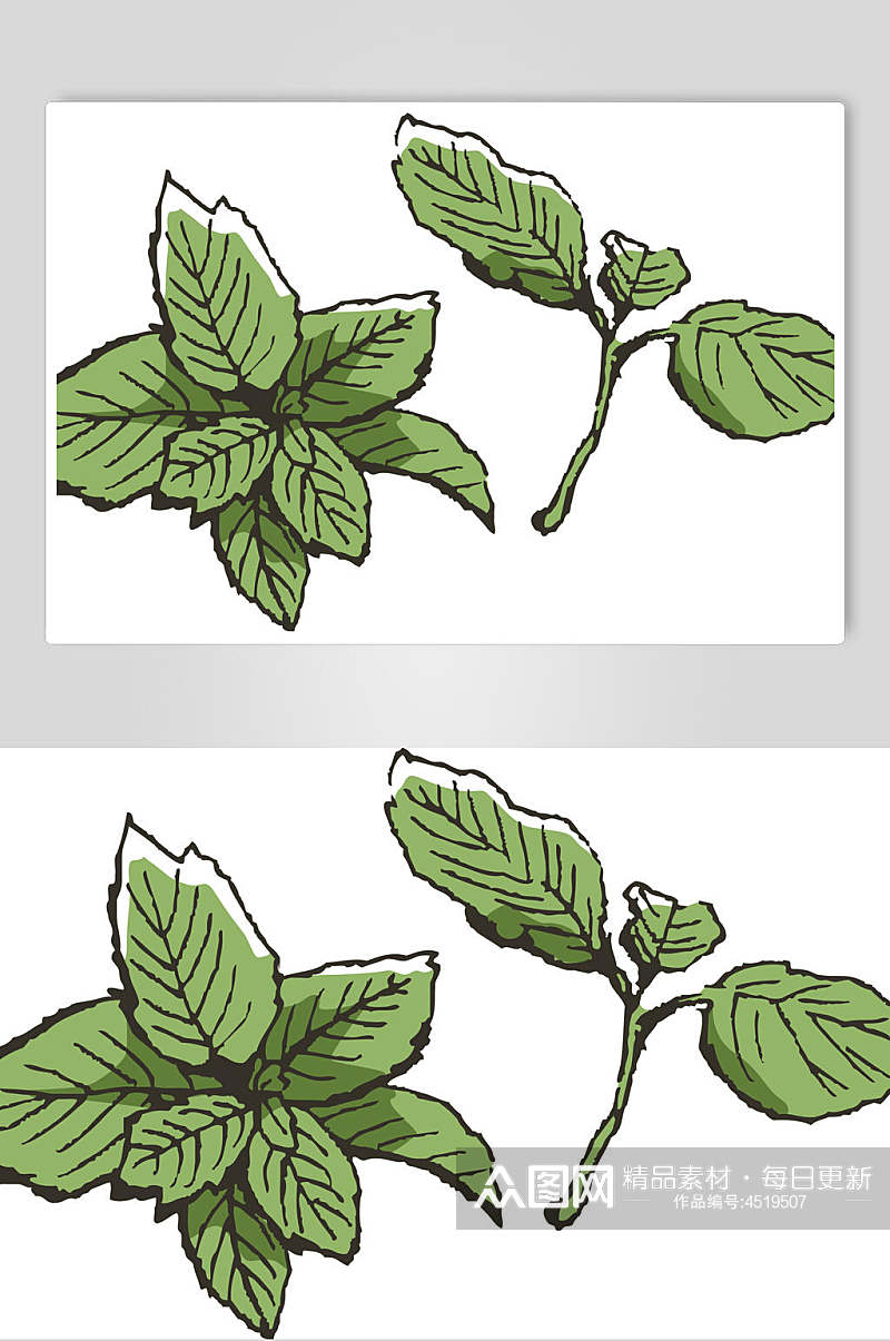 叶子绿色手绘清新线稿植物矢量素材素材