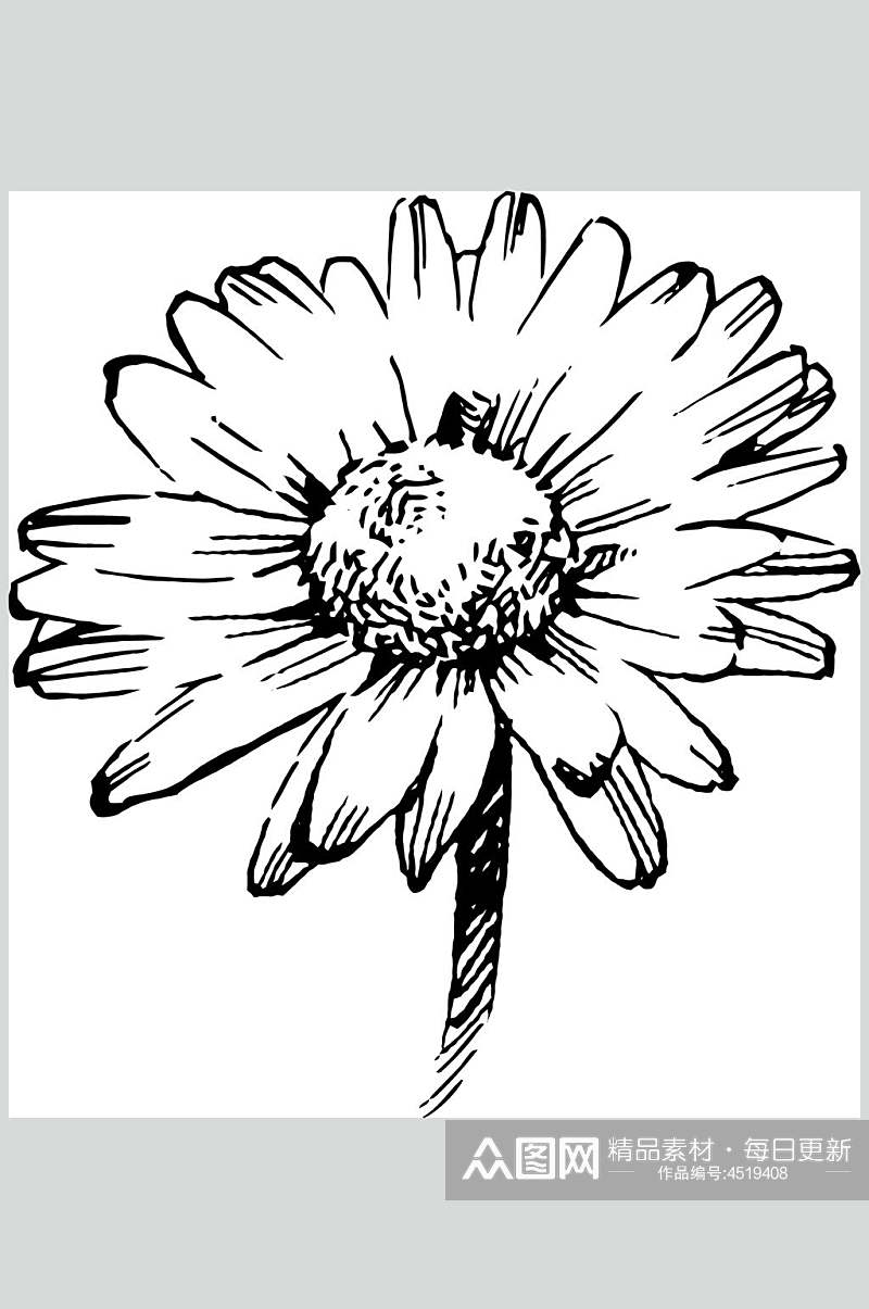 花朵黑色手绘清新线稿植物矢量素材素材