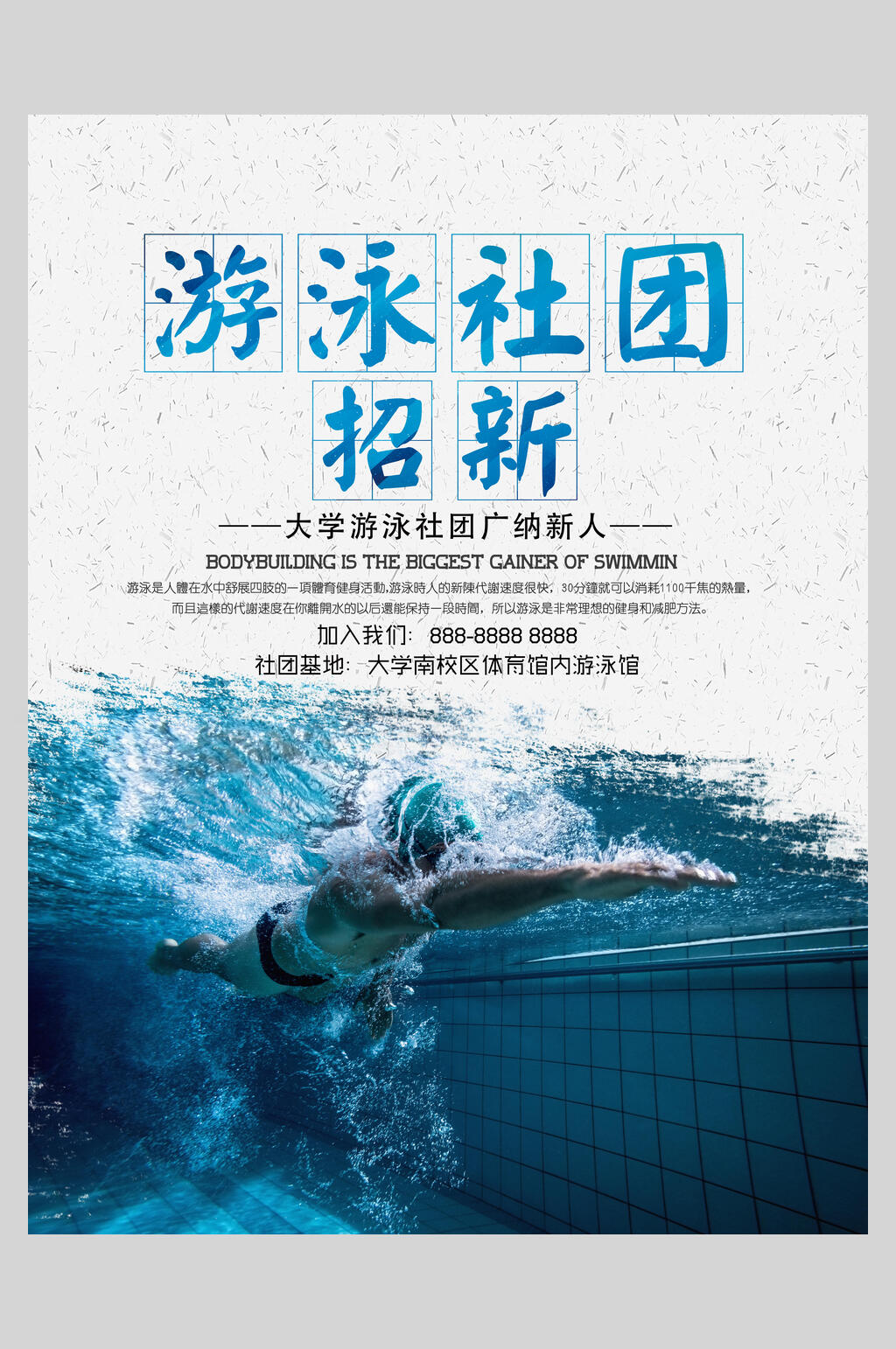 英语游泳社团海报图片