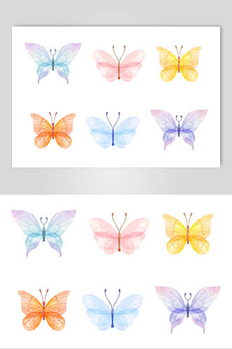 创意高端清新彩色美丽蝴蝶矢量素材