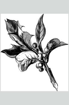 时尚手绘黑色清新线稿植物矢量素材