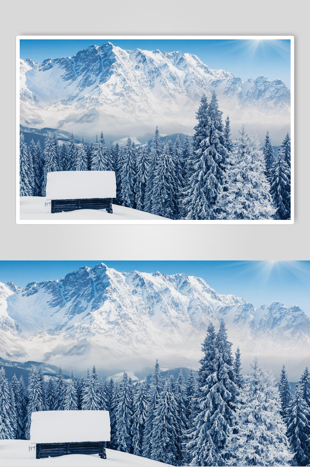 雪松雪山冬季雪景自然风光图片素材
