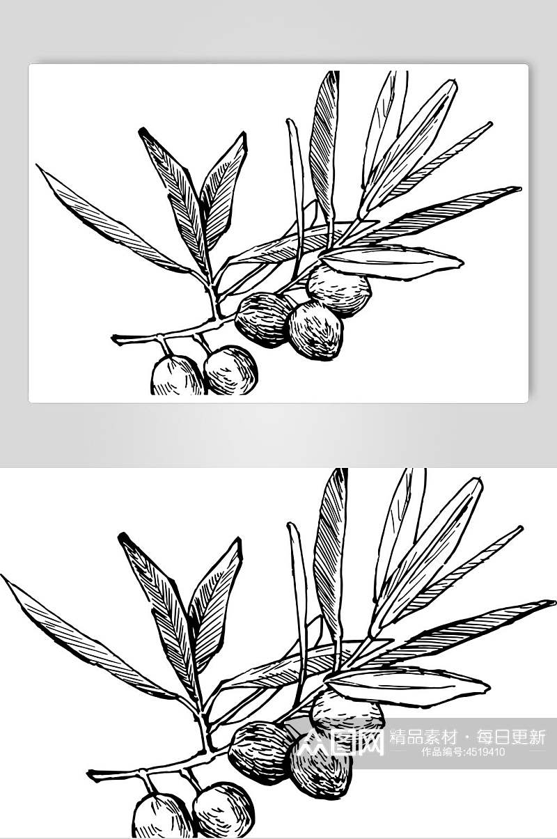 时尚叶子手绘二hi是线稿植物矢量素材素材