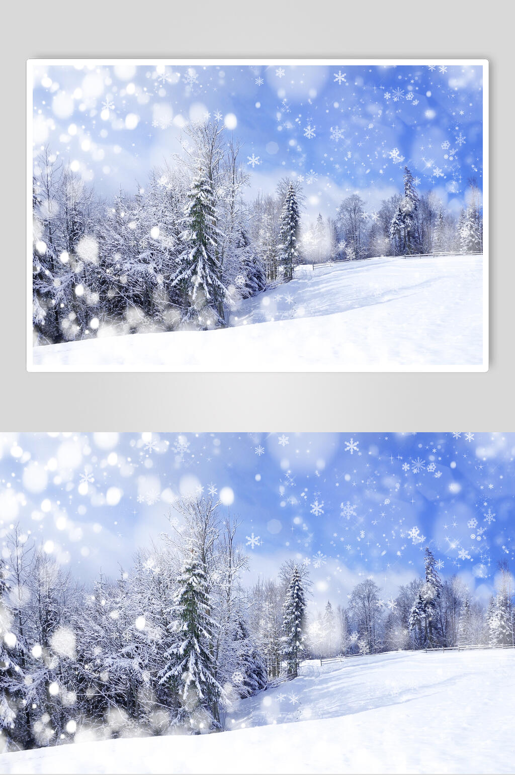 冬季雪花雪景自然风光图片素材
