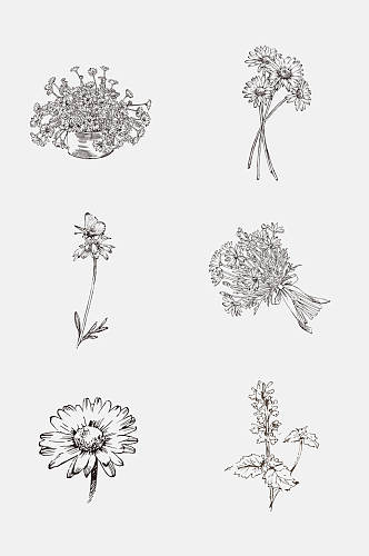 雏菊叶子灰色线稿植物免抠素材
