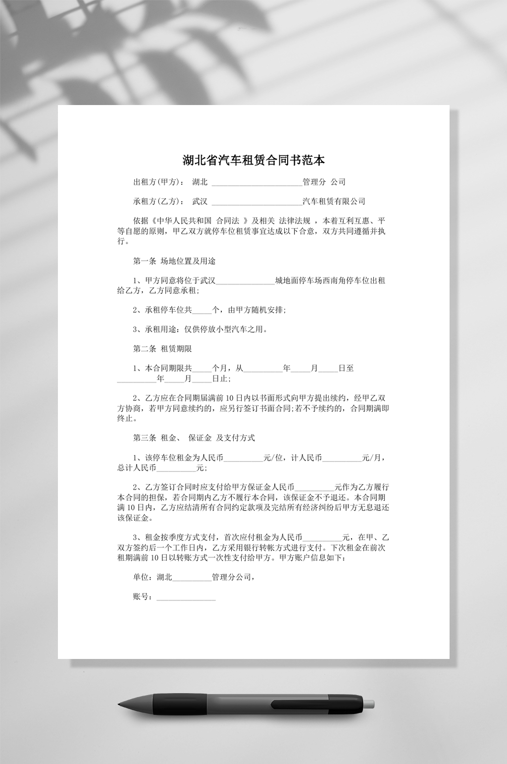 湖北省汽车租赁合同书样本word素材
