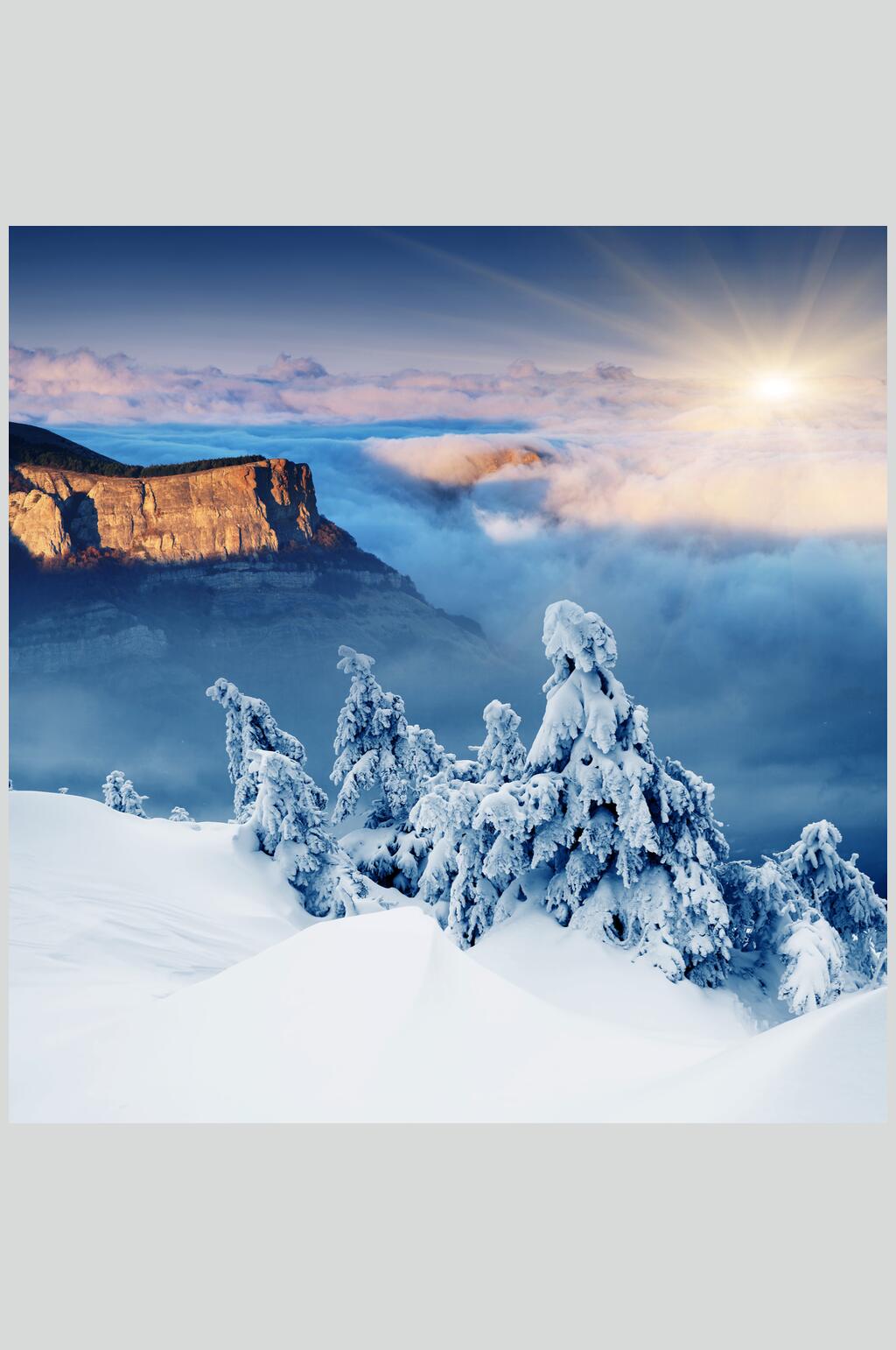 雪树冬季雪景自然风光图片素材