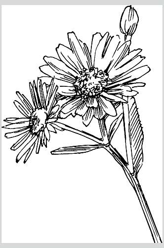 花朵线条黑色清新线稿植物矢量素材
