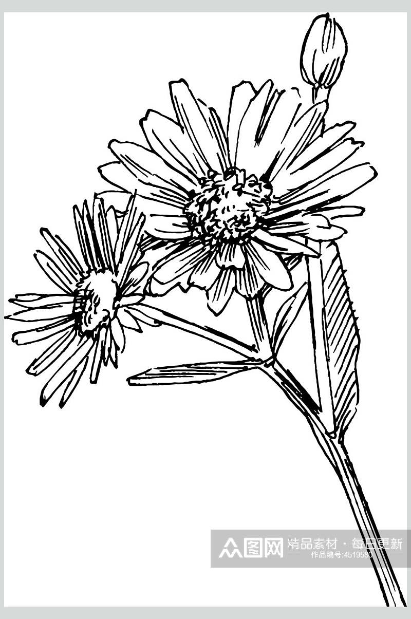 花朵线条黑色清新线稿植物矢量素材素材