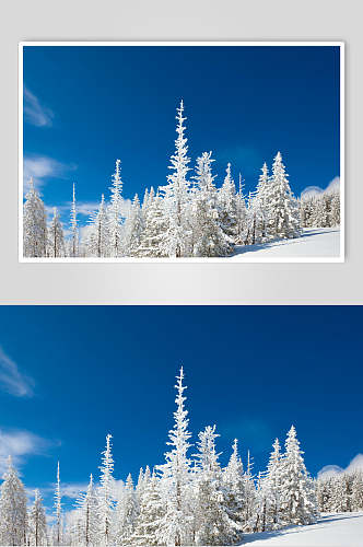 蓝天冬季雪景自然风光图片