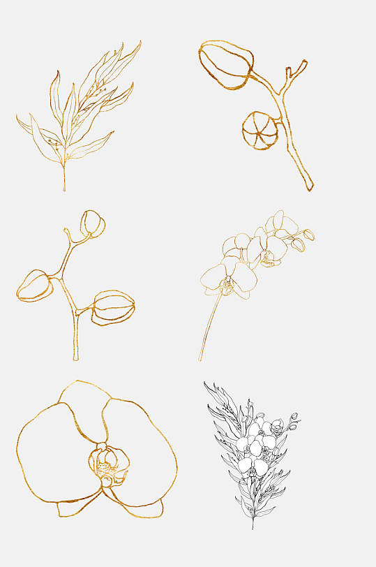 金色线条水彩花卉手绘免抠素材