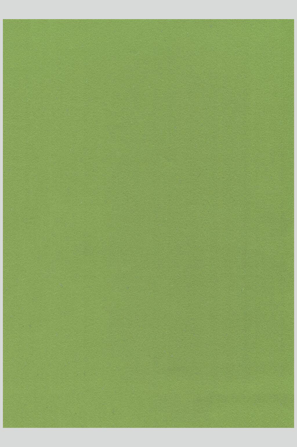 淡绿色纯色背景图图片