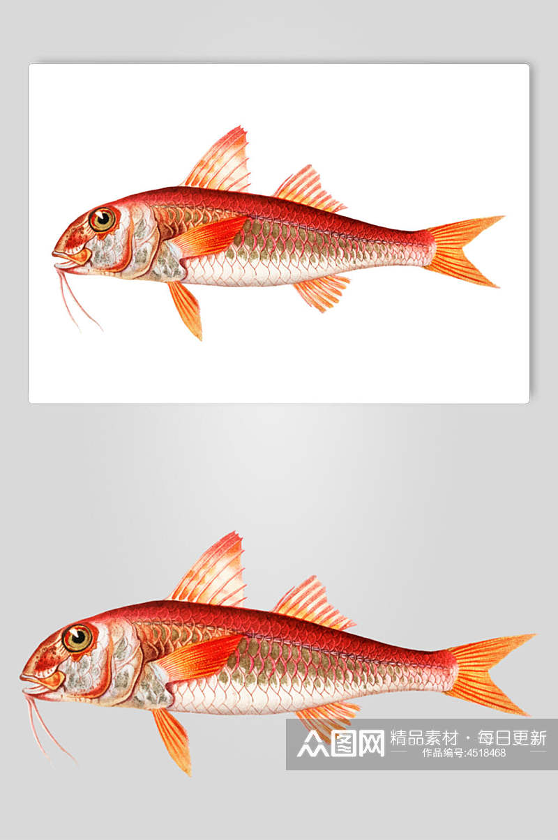 红色手绘简约清新复古鱼类矢量素材素材