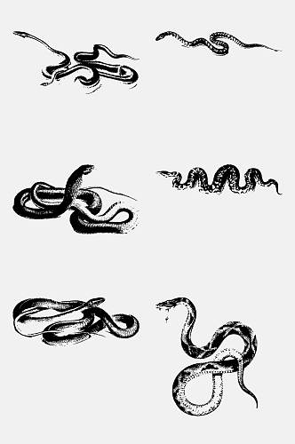 时尚花纹黑色手绘简约蛇免抠素材