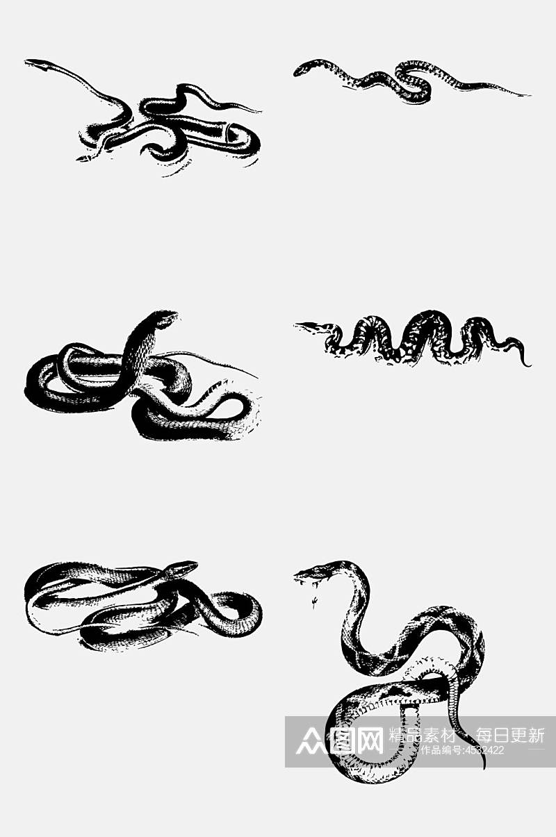 时尚花纹黑色手绘简约蛇免抠素材素材