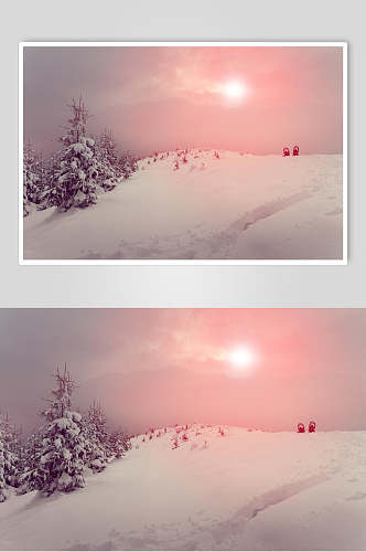 树木阳光冬季雪景自然风光图片