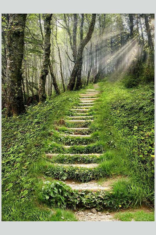 台阶楼梯哥特风图片