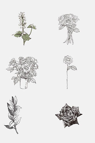 玫瑰花黑灰色线稿植物免抠素材