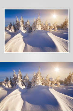 树木光芒冬季雪景自然风光图片