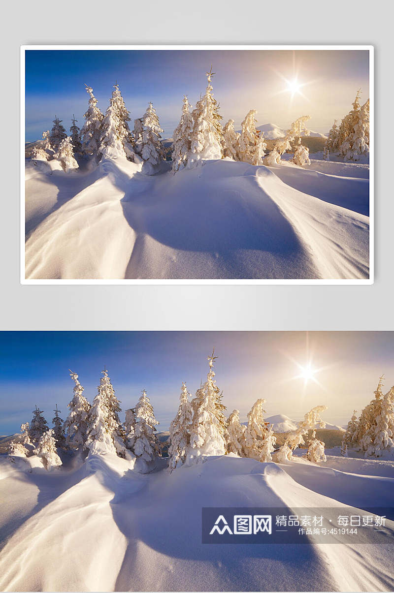树木光芒冬季雪景自然风光图片素材