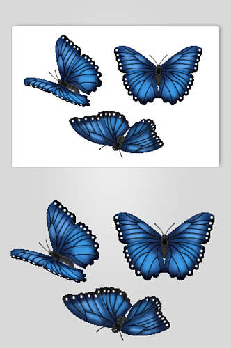 黑蓝唯美简约清新美丽蝴蝶矢量素材