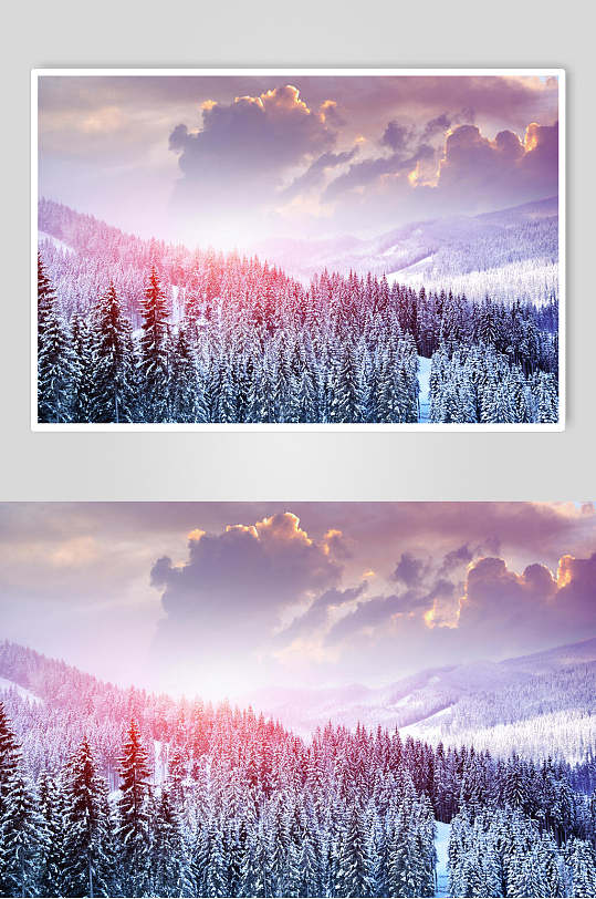 树林云雾冬季雪景自然风光图片