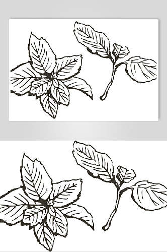 线条叶子手绘线稿植物矢量素材