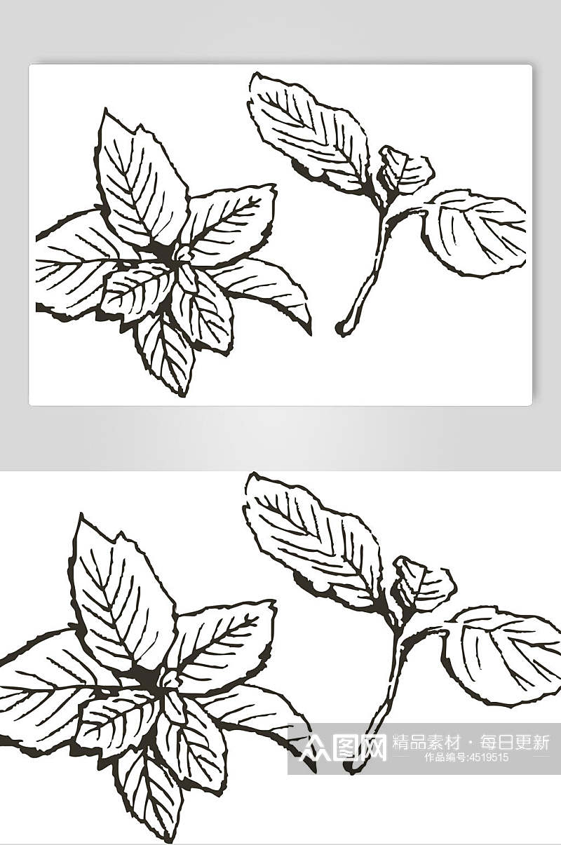 线条叶子手绘线稿植物矢量素材素材