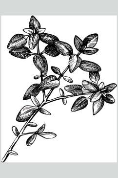 黑色手绘简约清新线稿植物矢量素材