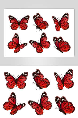 黑红唯美简约清新美丽蝴蝶矢量素材