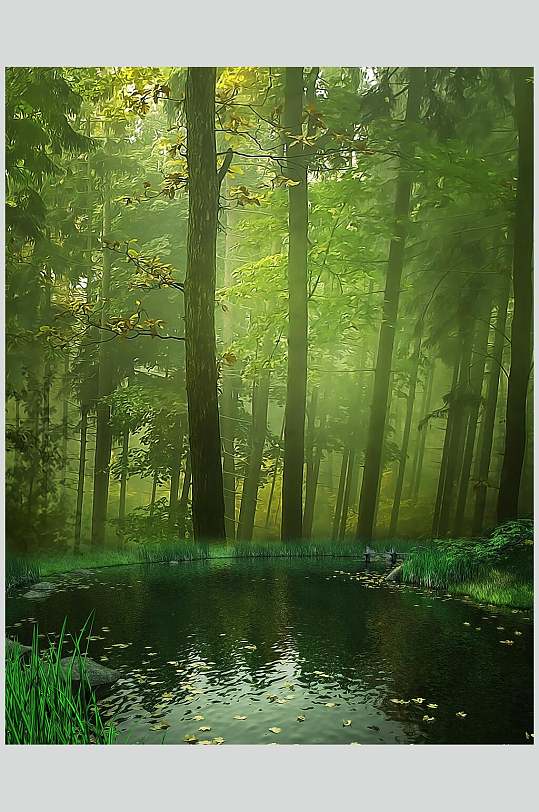 森林绿色哥特风图片