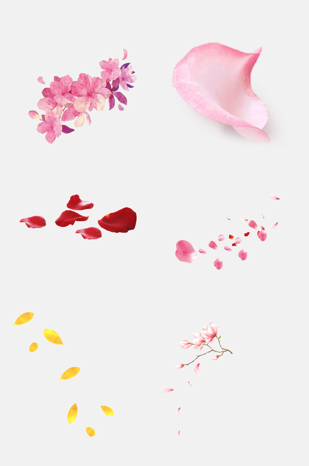 昌邑花瓣免抠素材素材