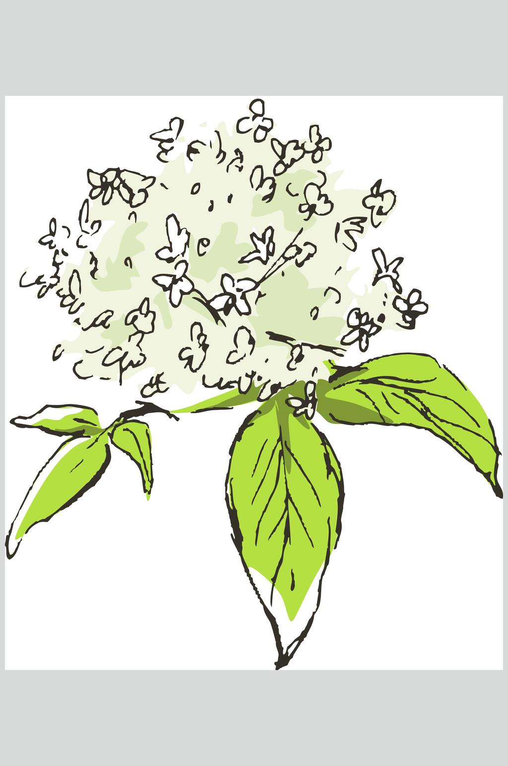 清新线稿植物矢量素材素材