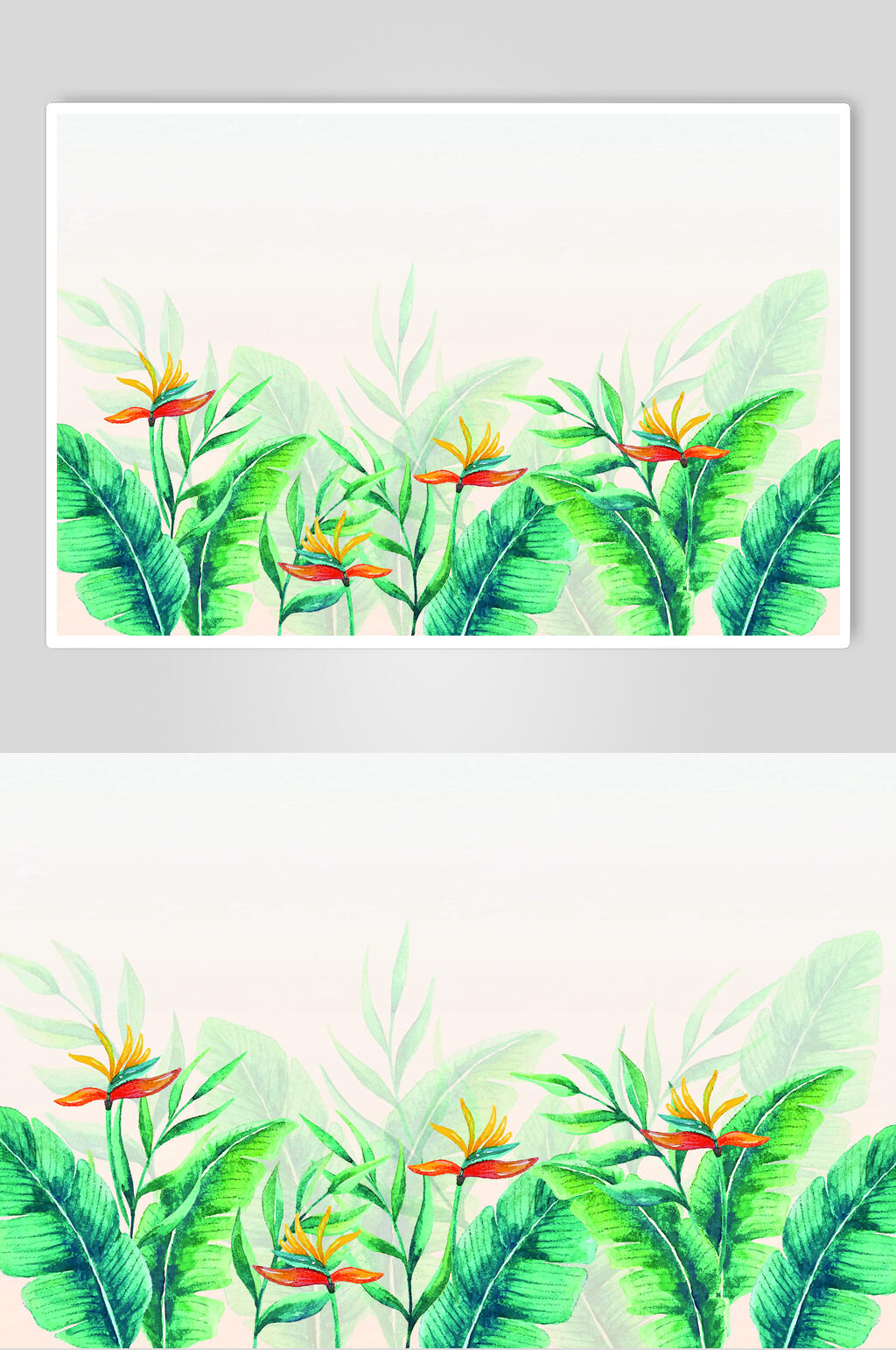 水彩矢量夏日植物插画素材素材