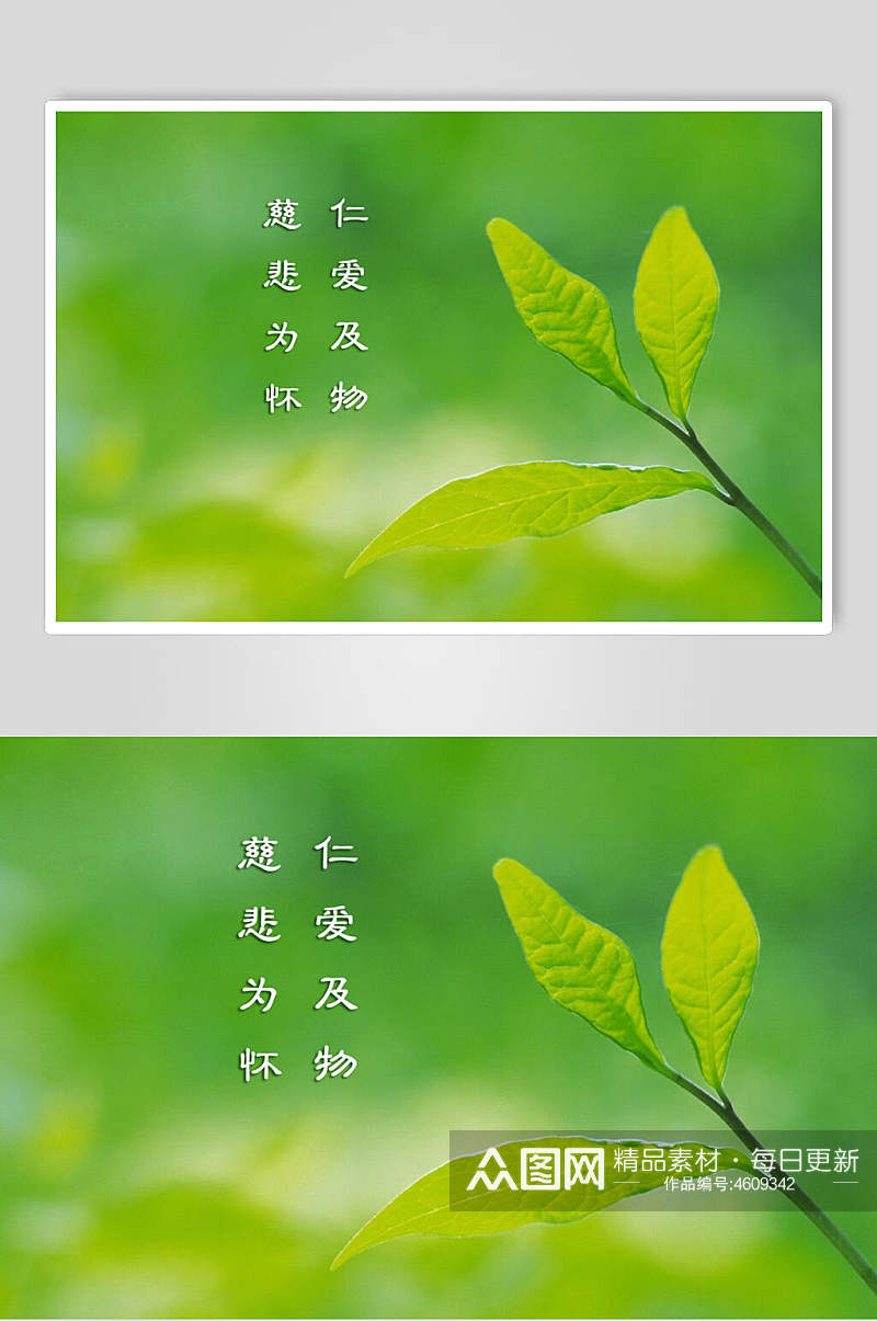叶子绿色自然壁纸素材