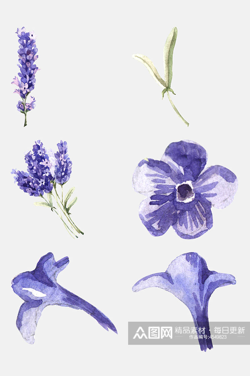 创意紫色花朵水彩花卉免抠素材素材