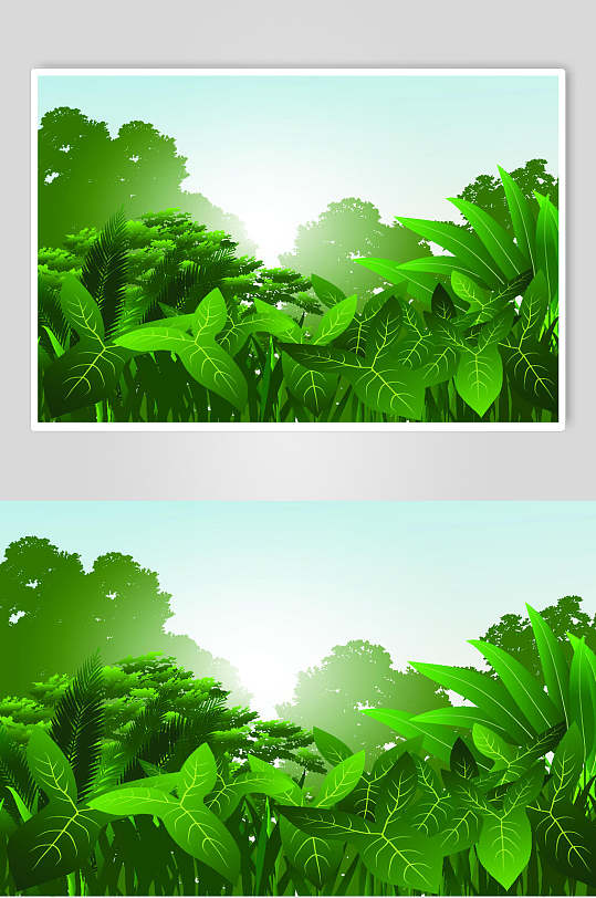 绿色热带雨林矢量素材