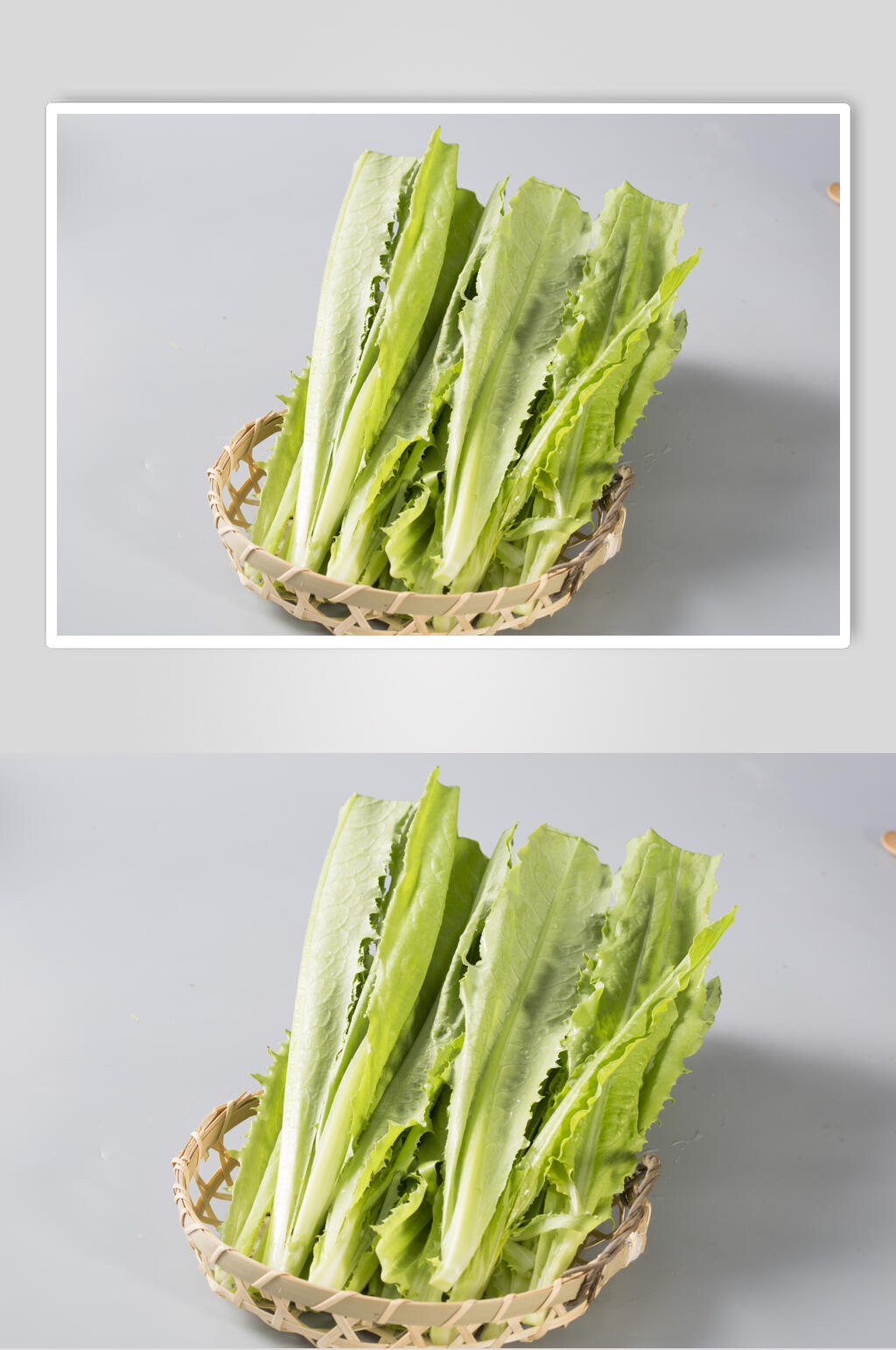 油麦菜食品图片素材