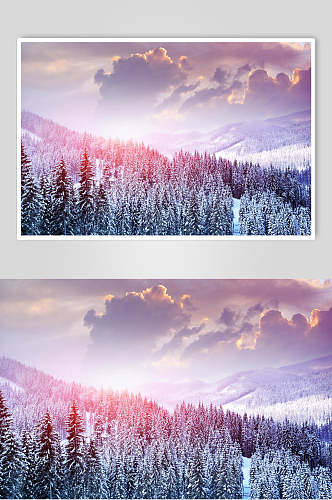 紫色冬季雪景摄影图片