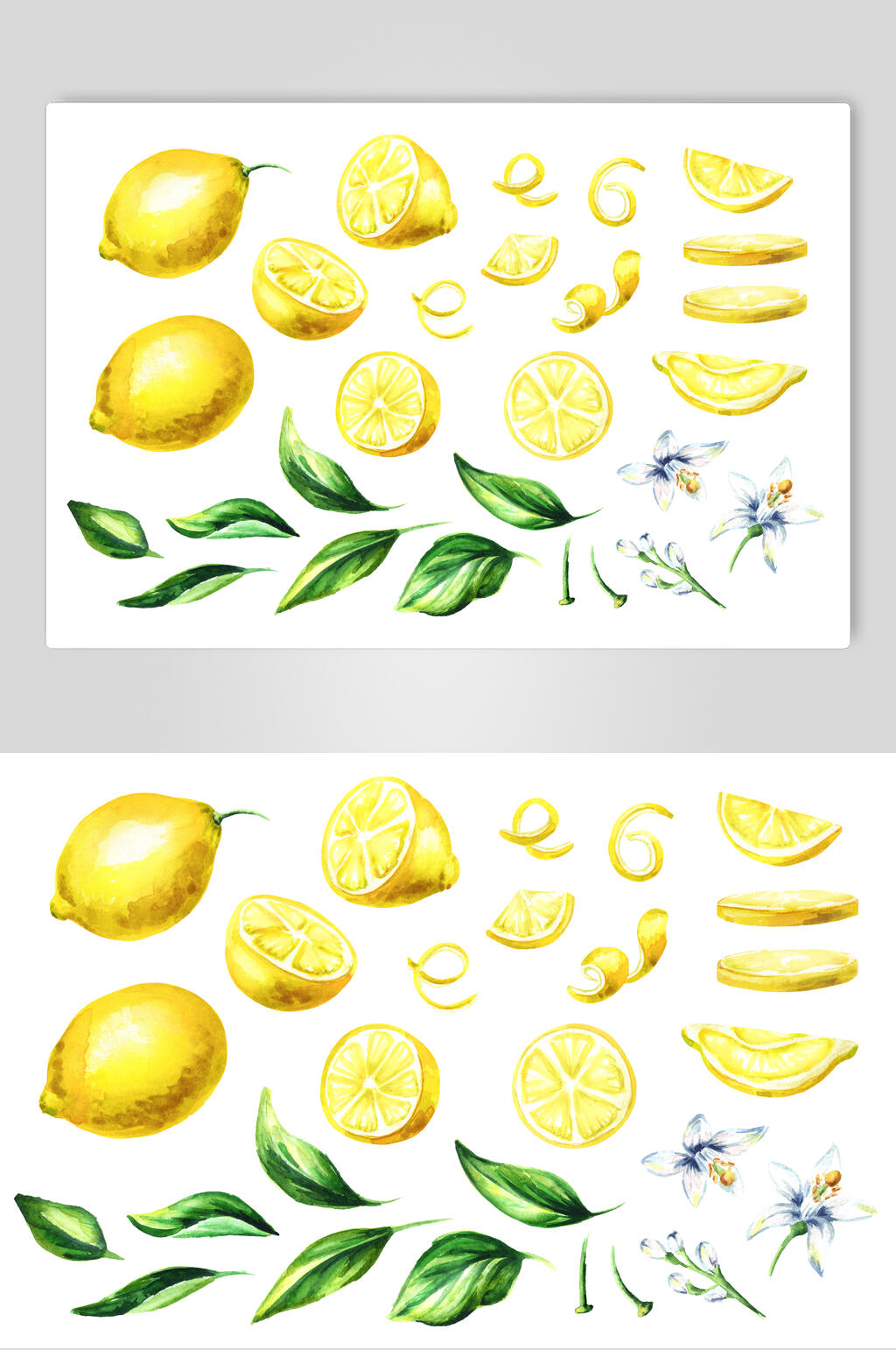 简约水果插画素材素材