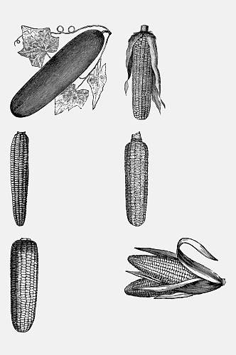 玉米复古手绘蔬菜食材免抠素材