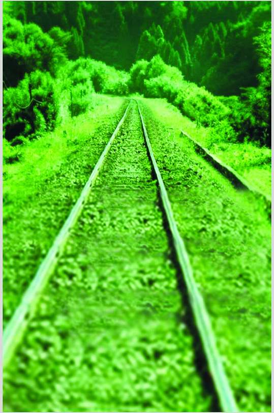 绿色的铁路道路户外图片