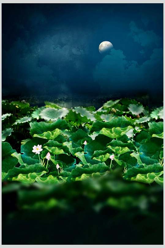 荷叶背景图图片-荷叶背景图素材-荷叶背景图模板大全-众图网