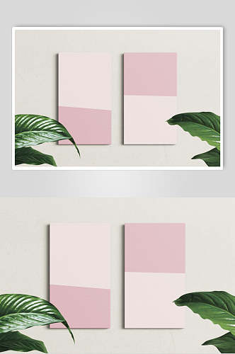 叶子长方形粉绿色艺术画框样机