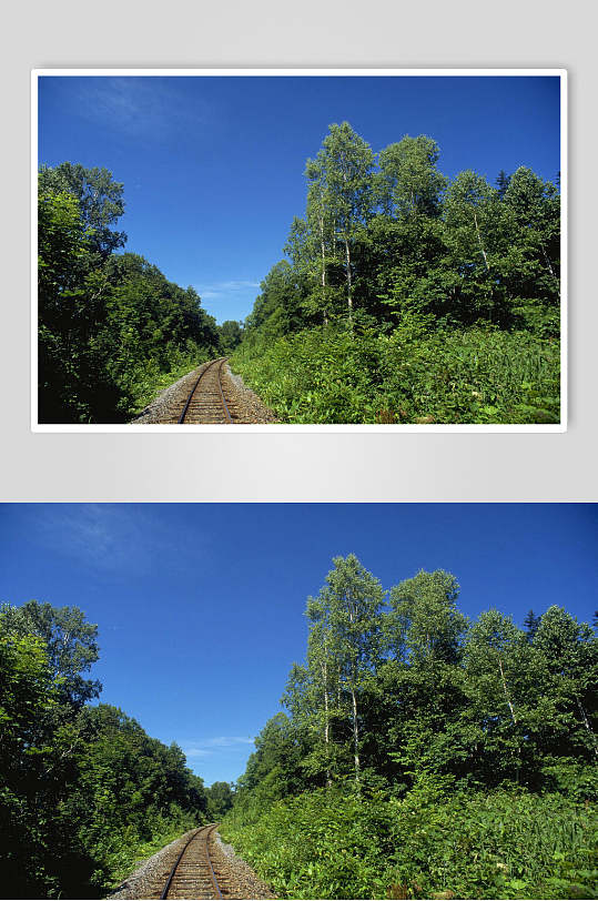 训练营名片图片-训练营名片设计素材-训练营名片模板下载-众图网