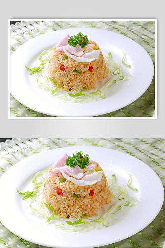 米饭炒饭图片