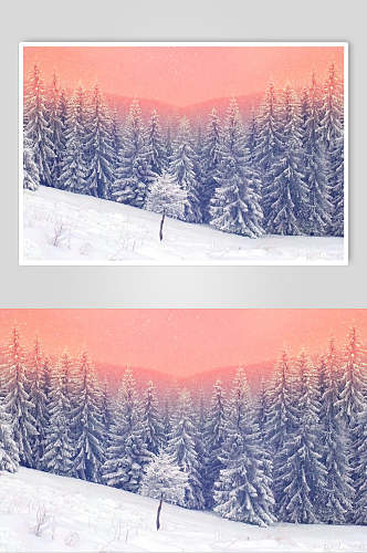 雪地红条冬季雪景摄影图片