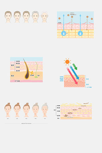 简约女孩手绘皮肤肌层免抠素材